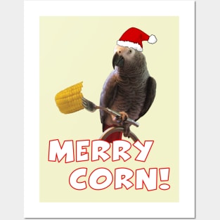 African Grey Parrot Holiday Christmas Santa Posters and Art